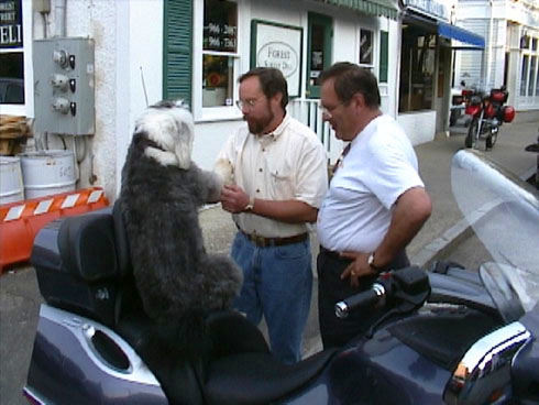 Art Blight, Sales Manager at Lindner Cycle Shop, attends to every customer's needs.
